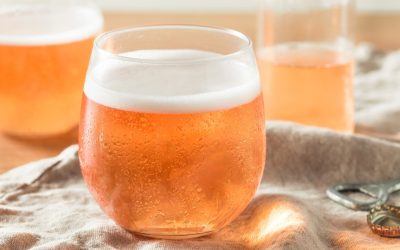 Mastering cider tasting – a guide to savoring and pairing